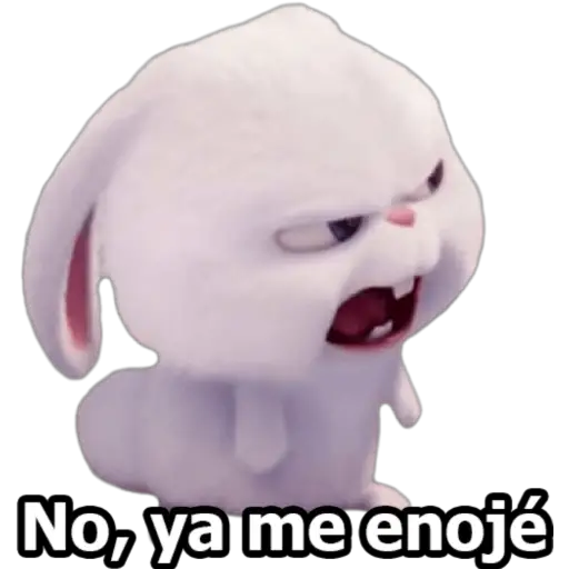 SNOWBALL 