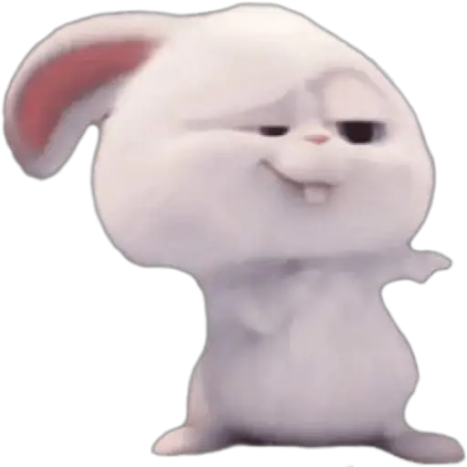 SNOWBALL 