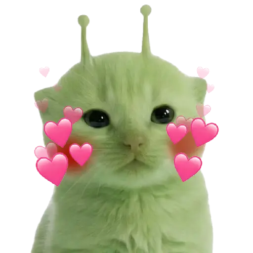 Gato alien 👽😼