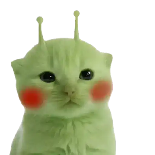 Gato alien 👽😼