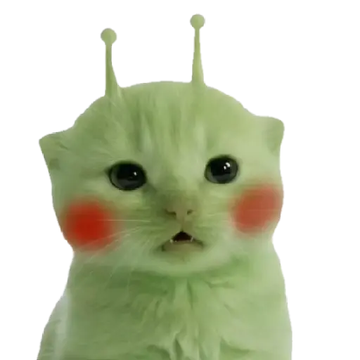 Gato alien 👽😼