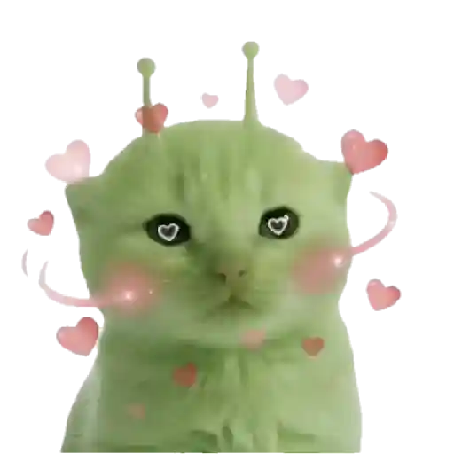 Gato alien 👽😼