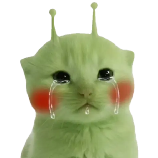 Gato alien 👽😼
