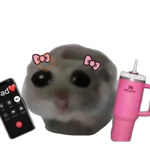 wjhhgf