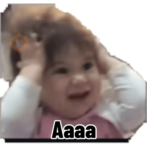 wjhhgf