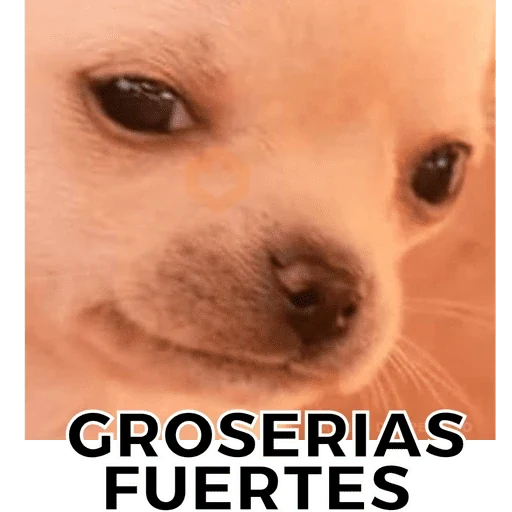 wjhhgf
