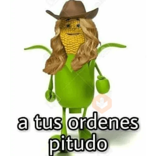 wjhhgf