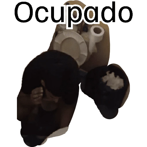 vamos con todo menos con miedo