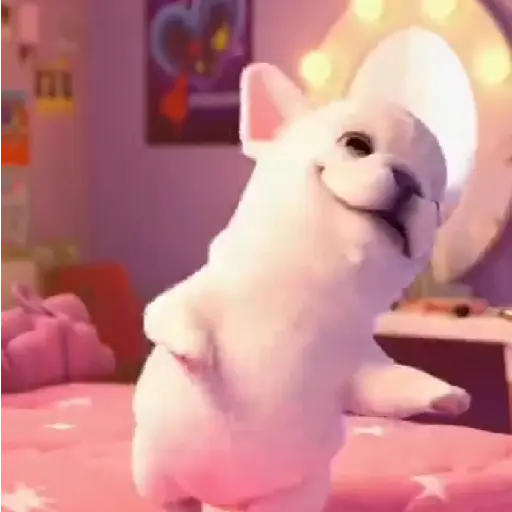 Pibble 🐶 Perro Pibble