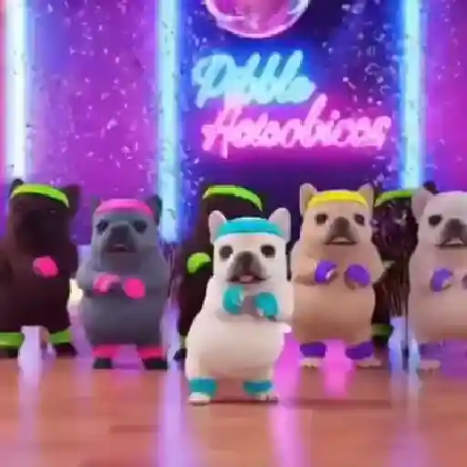 Pibble 🐶 Perro Pibble preview