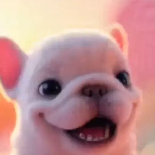 Pibble 🐶 Perro Pibble