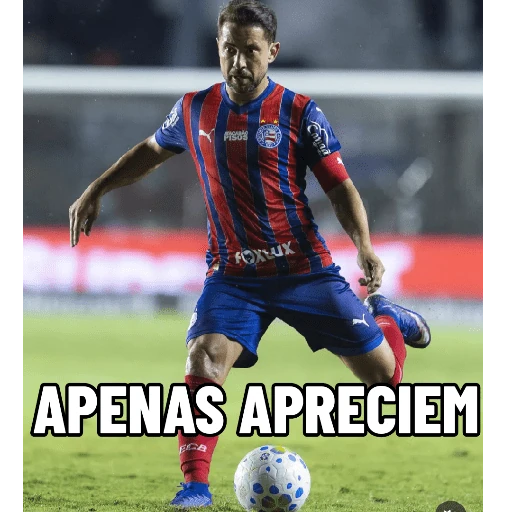 BAHEA 2