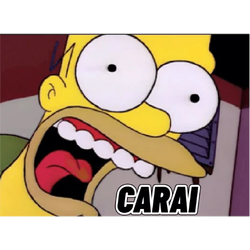 Homer 10