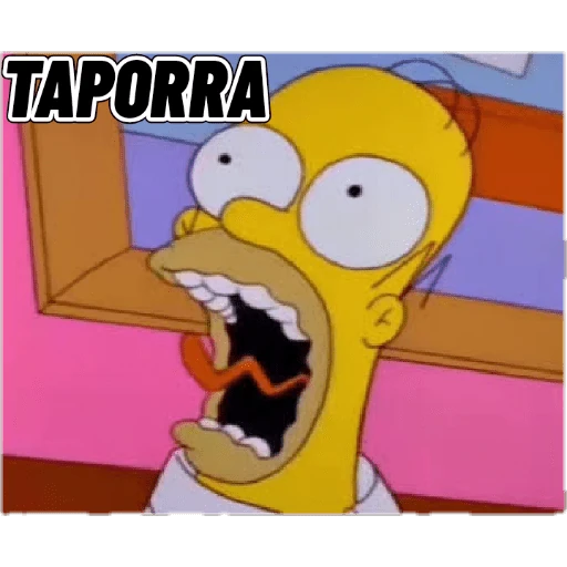Homer 10