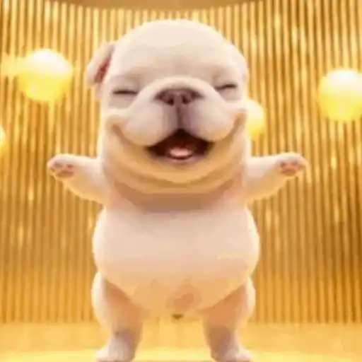 Perro Pibble 🐾✨