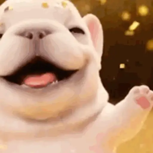 Perro Pibble 🐾✨