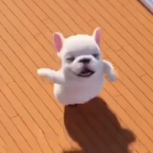 Pibble 🐶 Perro Pibble TikTok🪩