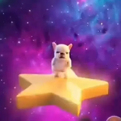 Pibble 🐶 Perro Pibble TikTok🪩