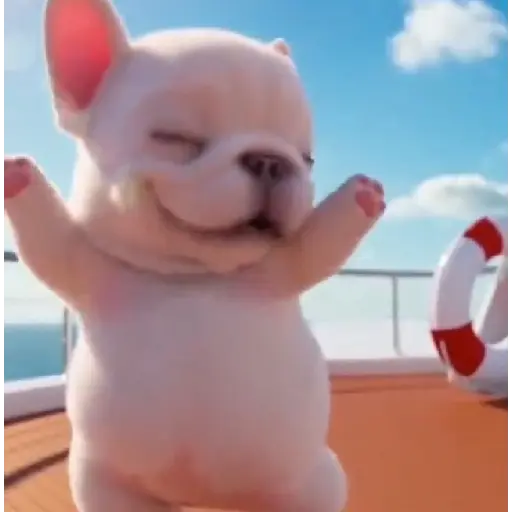 Pibble 🐶 Perro Pibble TikTok🪩