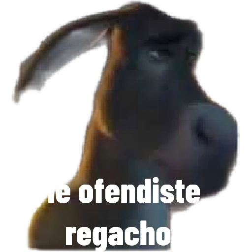 pelis