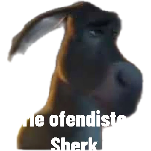 pelis