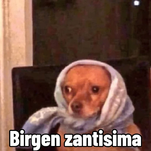Memes ✌🏻