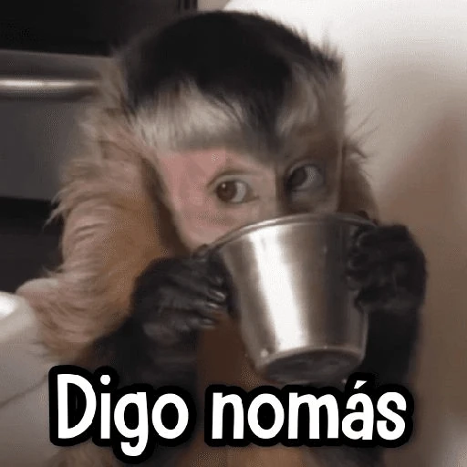 Memes ✌🏻