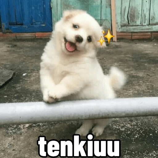 Memes ✌🏻