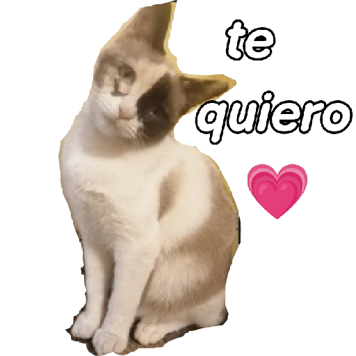 Amor y cariño