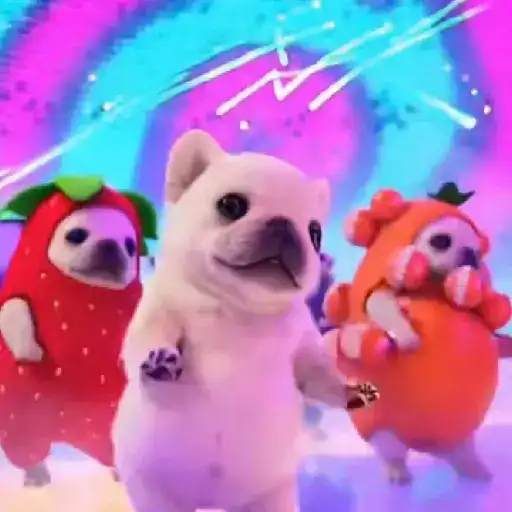 perro pibble dog tiktok