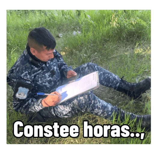 Memes