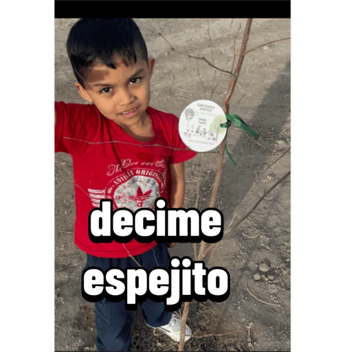 Memes