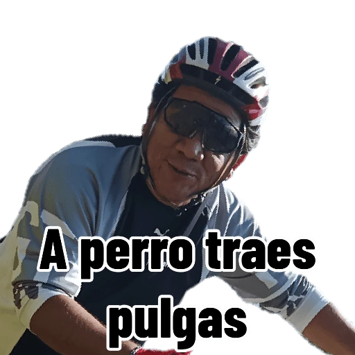Graciosos