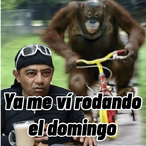 Graciosos