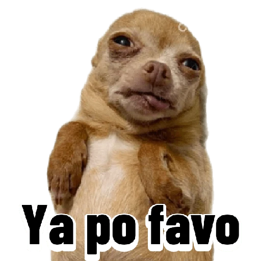 Graciosos