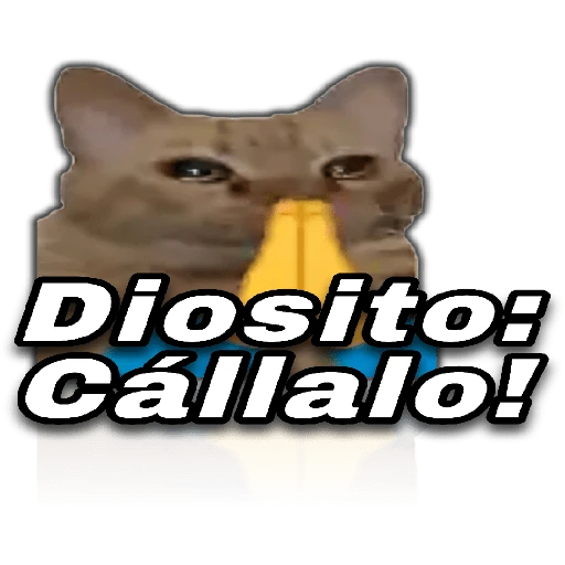 😎🚀Memes PRO|TikTok🔥