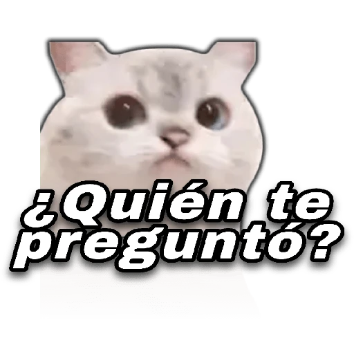 😎🚀Memes PRO|TikTok🔥