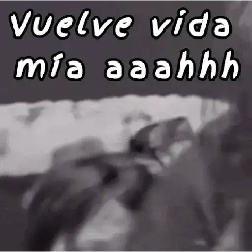 🤣🎶Salúdame a tu Tía🤪🎶