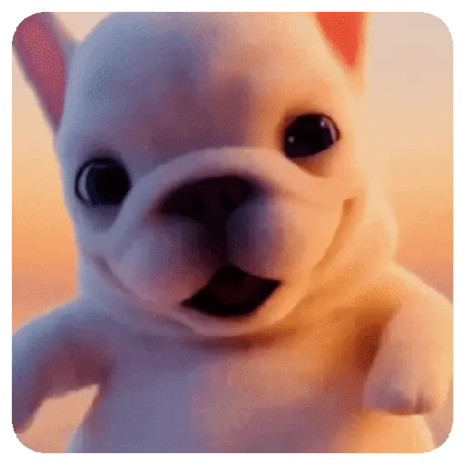 Perro Pibble~🐶🐾 2️⃣