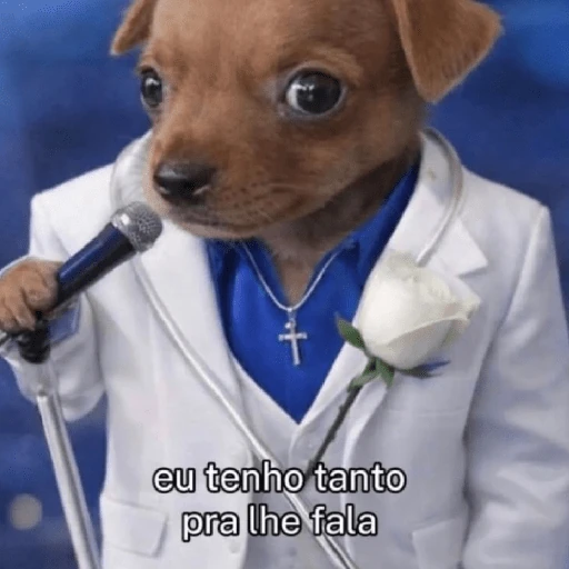 OI POSSO FALA?