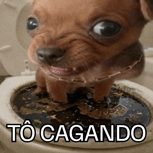 OI POSSO FALA?