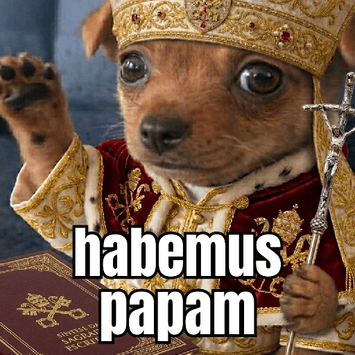 OI POSSO FALA?