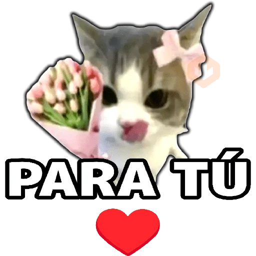 🤣PA'COMENTAR TikTok🔥