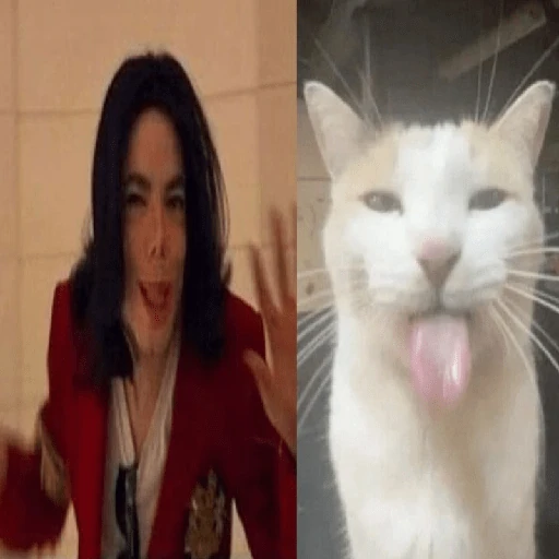 Memes Michael jackson