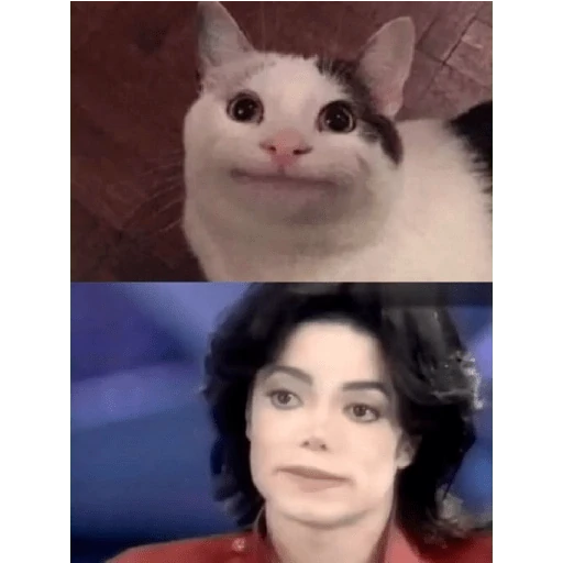 Memes Michael jackson