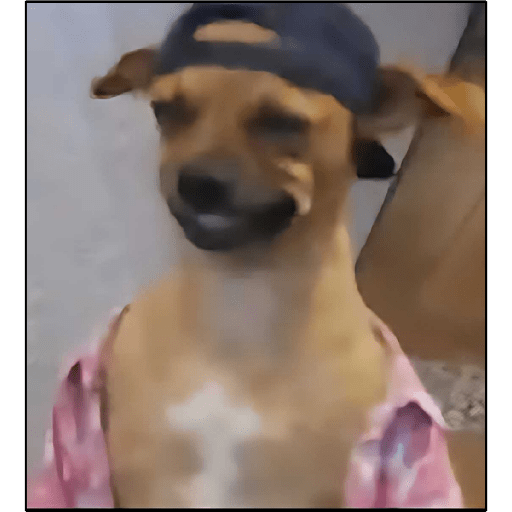 🔥Tendencias✌︎㋡TikTok🔥 preview