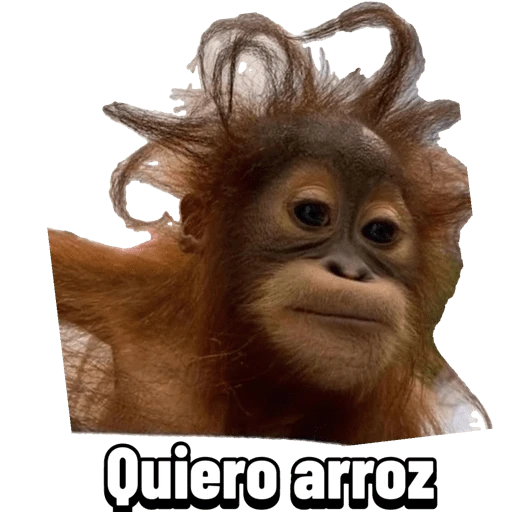 My stickers