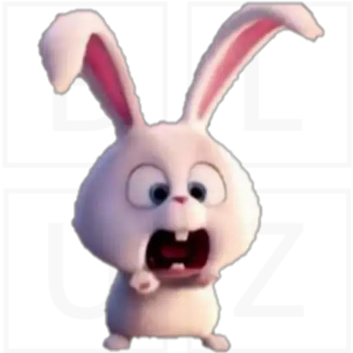 Conejo Snowball 