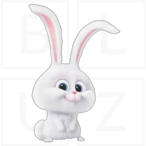 Conejo Snowball 