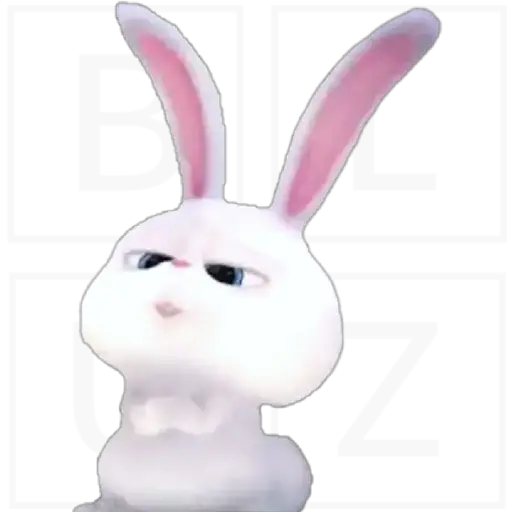 Conejo Snowball 